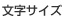 文字サイズ