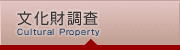文化財調査