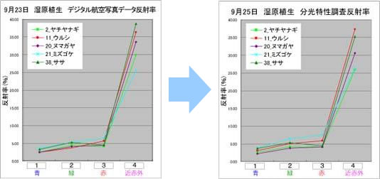 デジタル航空カメラによって得られた地物の反射率(左)と 現地分光特徴調査によって得られた地物の反射率(右)