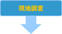 現地調査