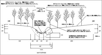 渓流調査